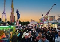 Cairns Show