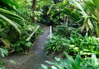 Free Things To Do In Cairns With Kids