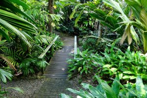 Free Things To Do In Cairns With Kids