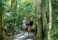 Rainforest Walk Photo from Kuranda.org