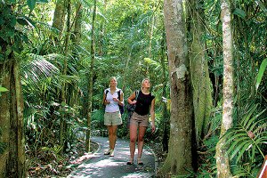 Rainforest Walk Photo from Kuranda.org