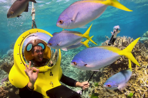 Two Exhilarating Experiences To Do While In Cairns Two Exhilarating Experiences To Do While In Cairns