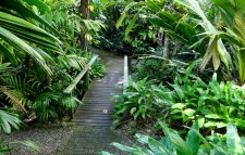 Free Things To Do In Cairns With Kids