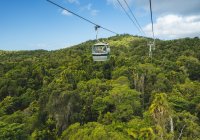 Kuranda Day Trip Scenic Rail Skyrail Or Drive