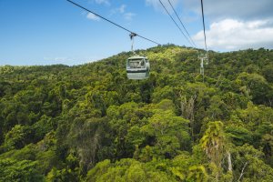 Kuranda Day Trip Scenic Rail Skyrail Or Drive