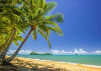 Palm Cove Photo From Tourism Palm Cove Website Palm Cove Photo From Tourism Palm Cove Website