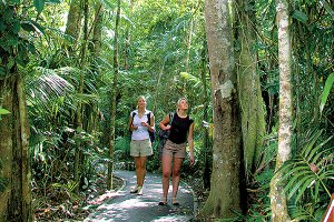 Rainforest Walk Photo from Kuranda.org Rainforest Walk Photo from Kuranda.org