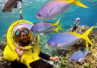 Two Exhilarating Experiences To Do While In Cairns Two Exhilarating Experiences To Do While In Cairns